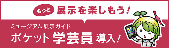 ミュージアム展示ガイド ポケット学芸員