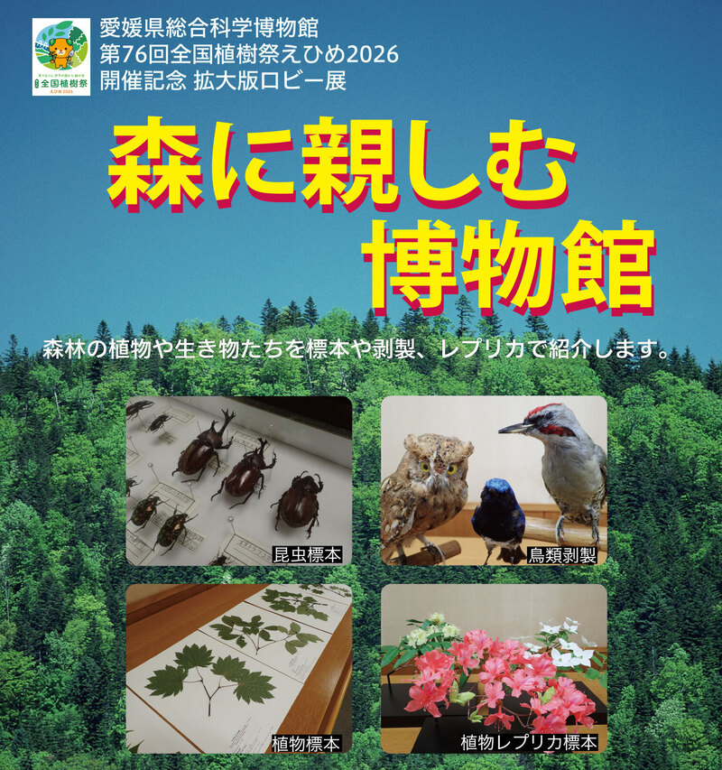 ロビー展「森に親しむ博物館」