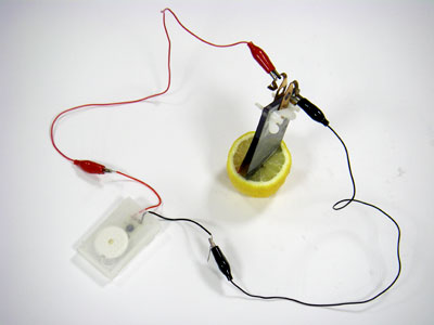 くだもの電池